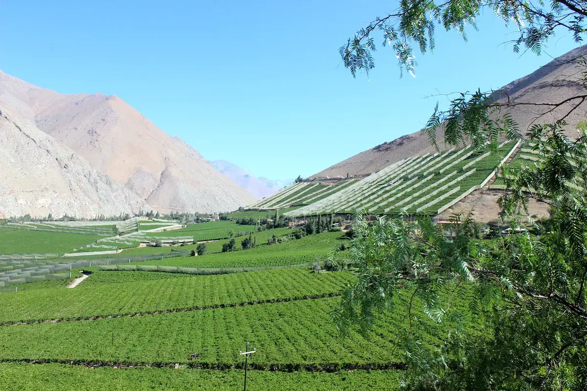 Vallée agricole verdoyante aux contreforts montagneux arides sous ciel bleu dégagé
