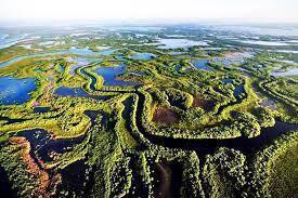 Vue aérienne d’un paysage de zones humides avec méandres fluviaux sinueux, végétation dense verte et lacs bleus