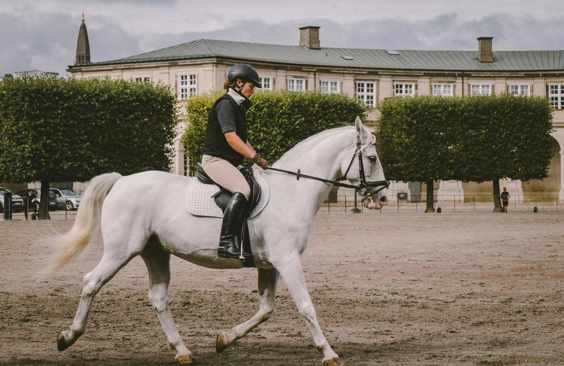 Une cavalière en tenue d’équitation montée sur un cheval blanc dans une cour pavée face à un élégant bâtiment historique