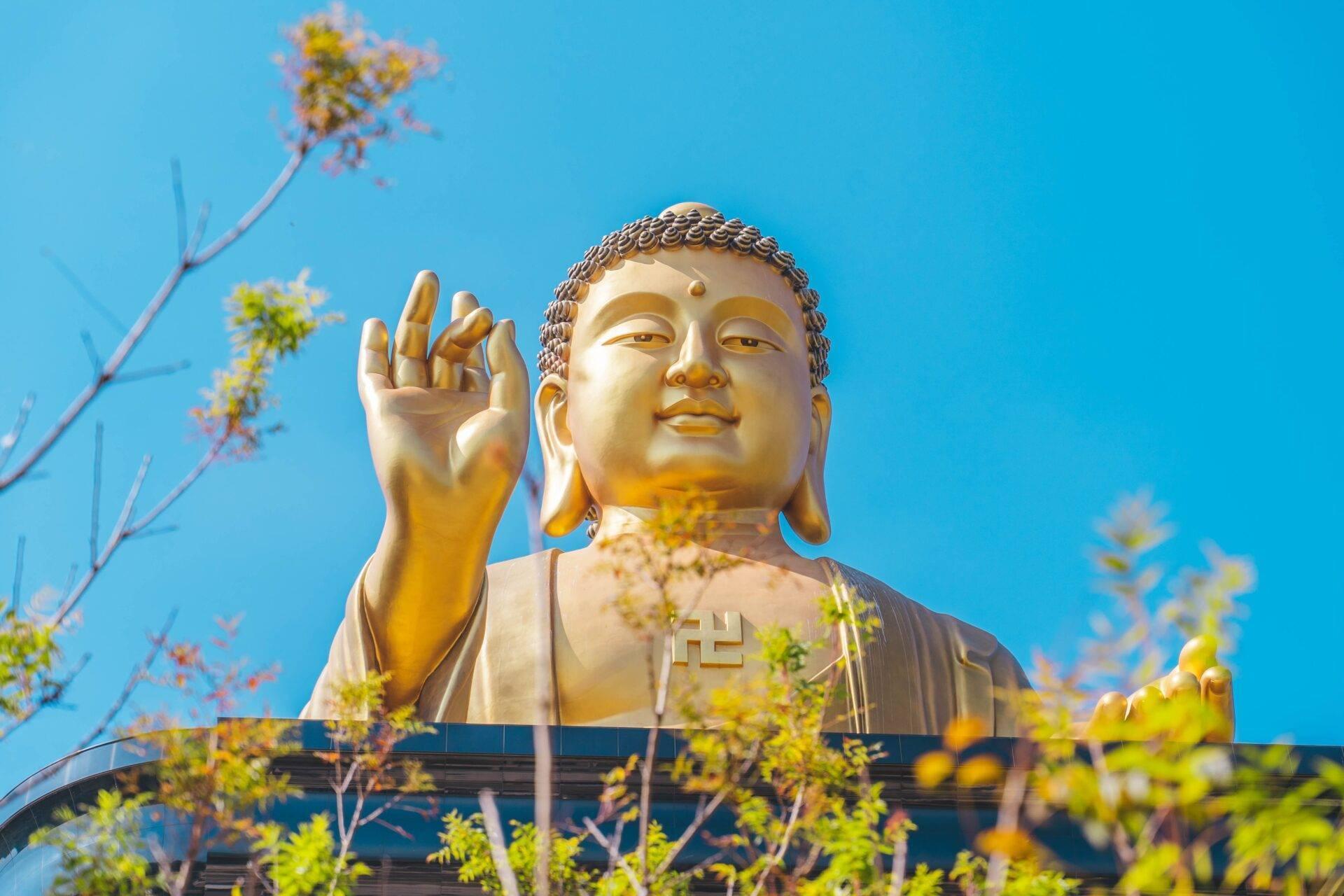 Une statue dorée de Bouddha monumentale sous un ciel bleu dégagé, entourée de fleurs et de végétation