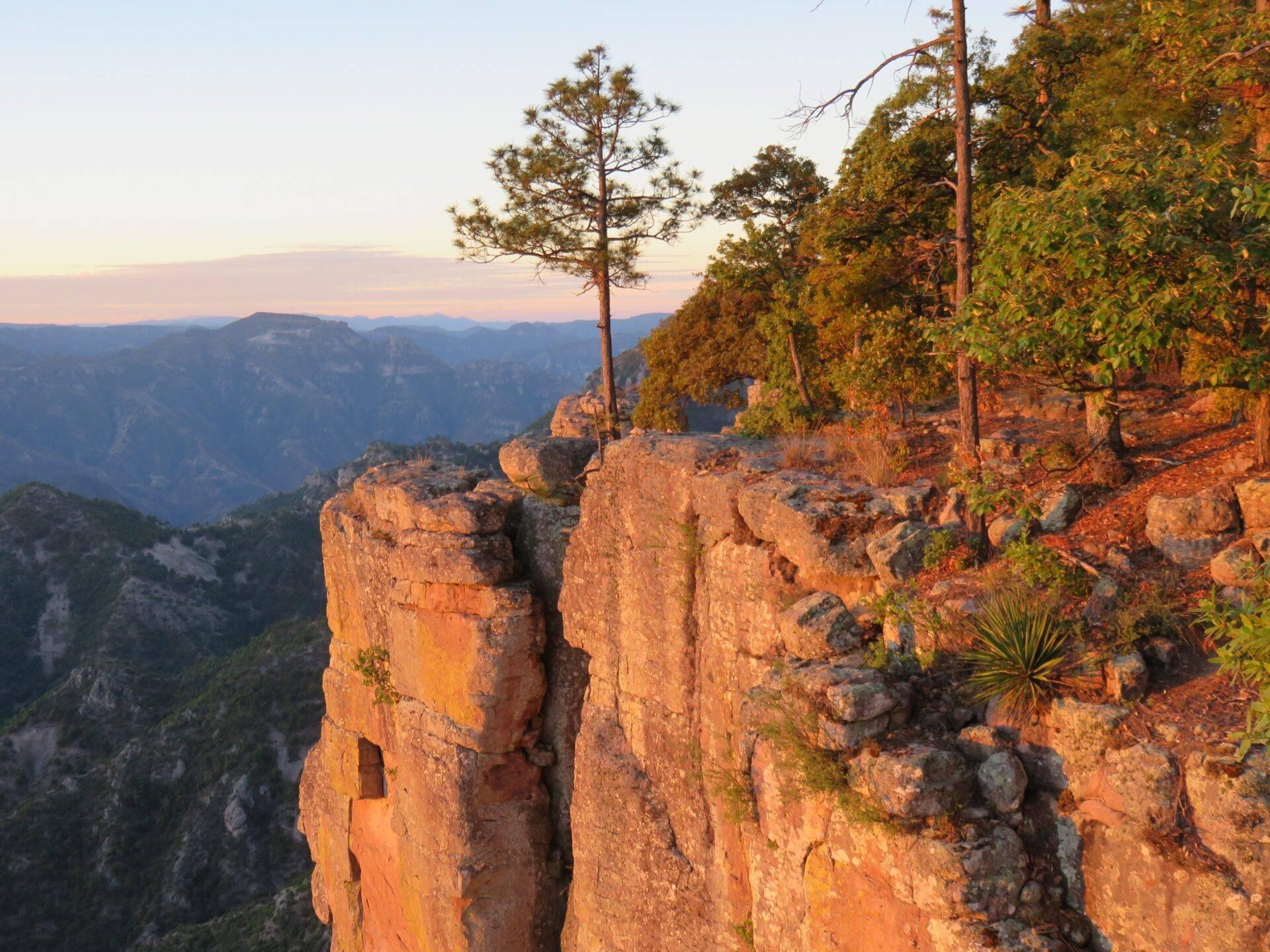 Formations rocheuses dorées au coucher du soleil avec canyon boisé et montagnes en arrière-plan