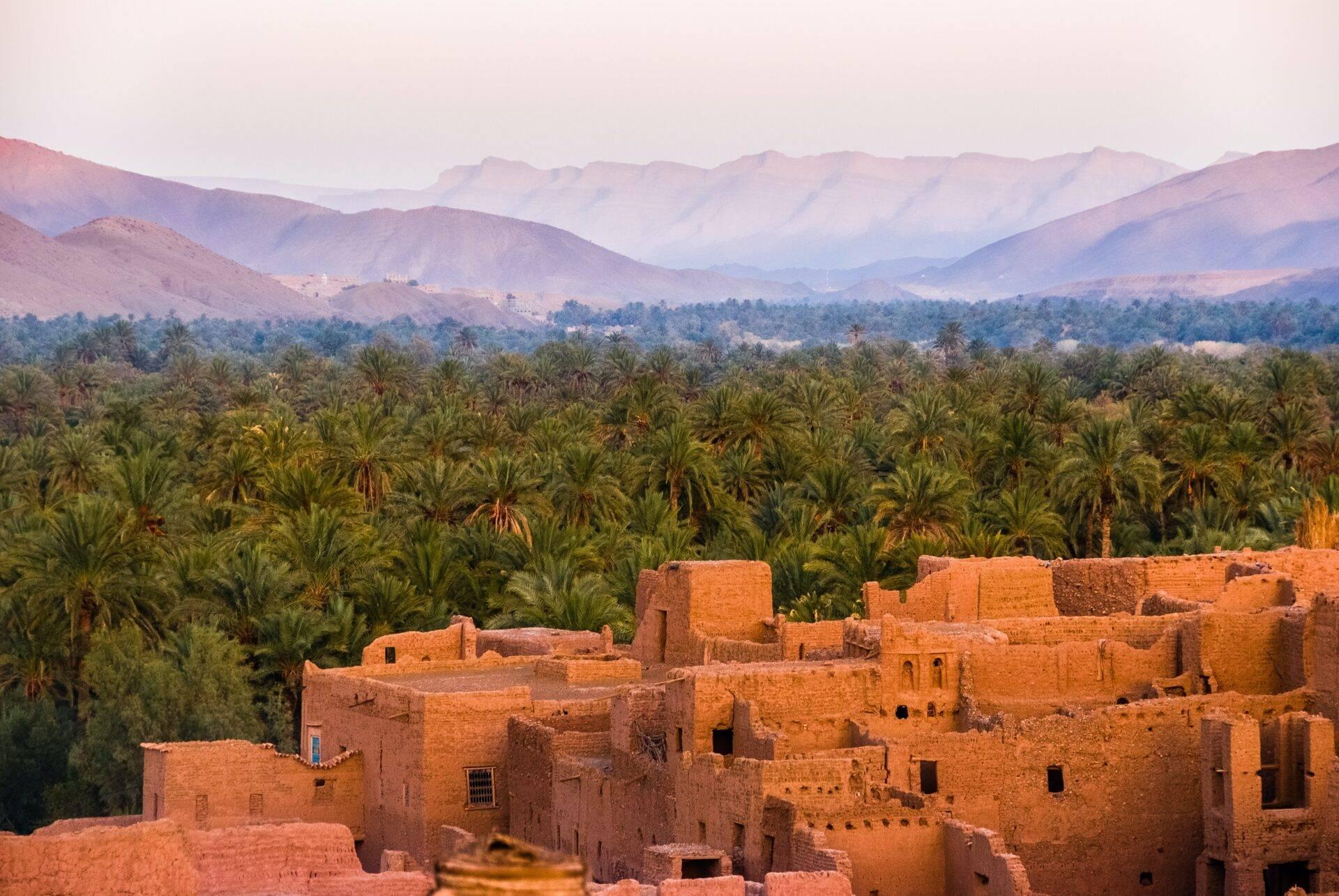 Kasbah en terre cuite surplombant une palmeraie verdoyante avec chaîne montagneuse en arrière-plan