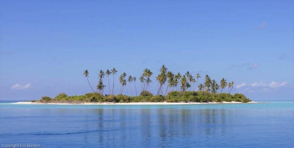 Une petite île tropicale avec palmiers et végétation luxuriante entourée d’eau turquoise cristalline