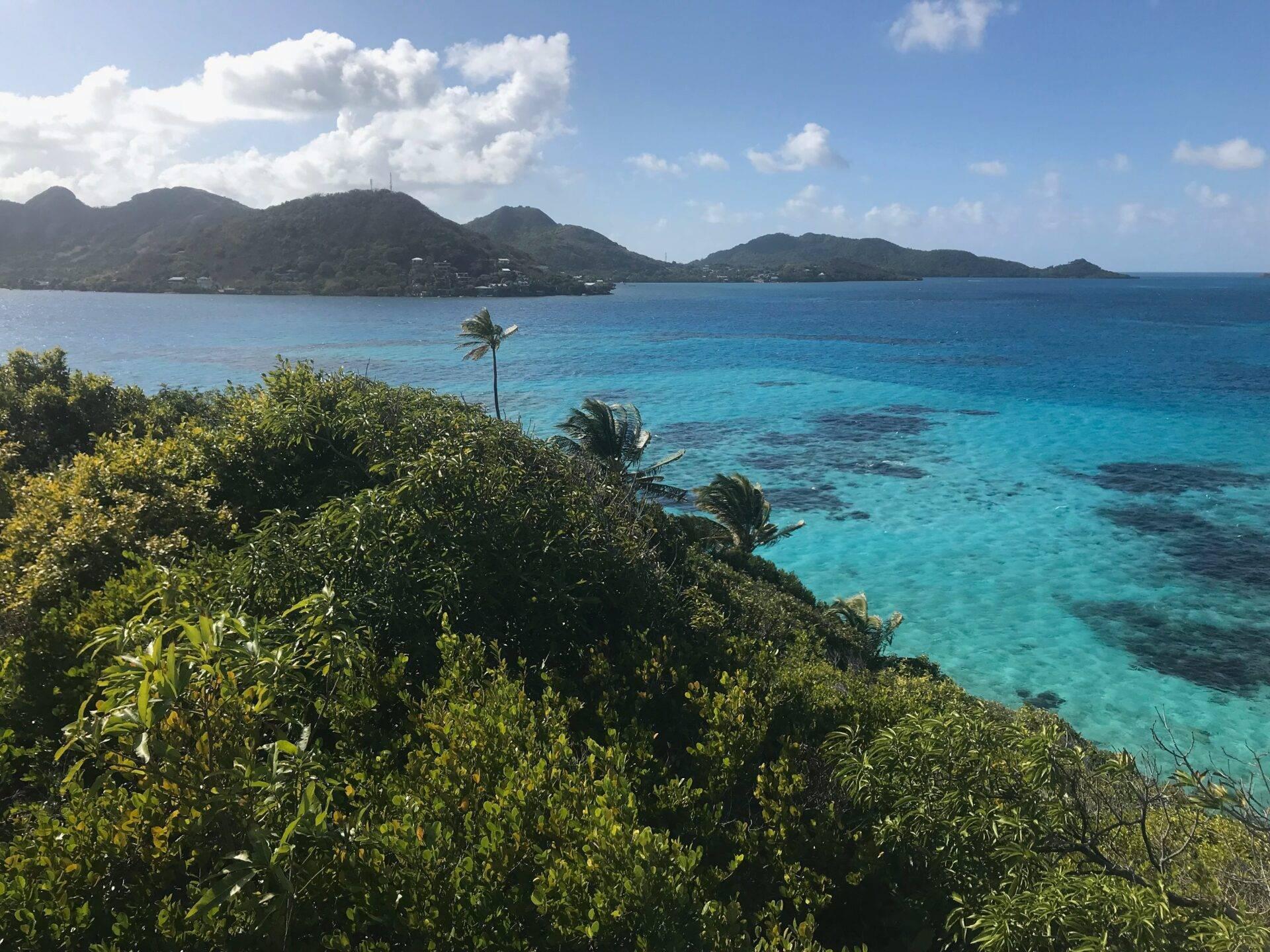 Vue côtière tropicale avec végétation luxuriante au premier plan, îles boisées et eaux turquoise par temps ensoleillé