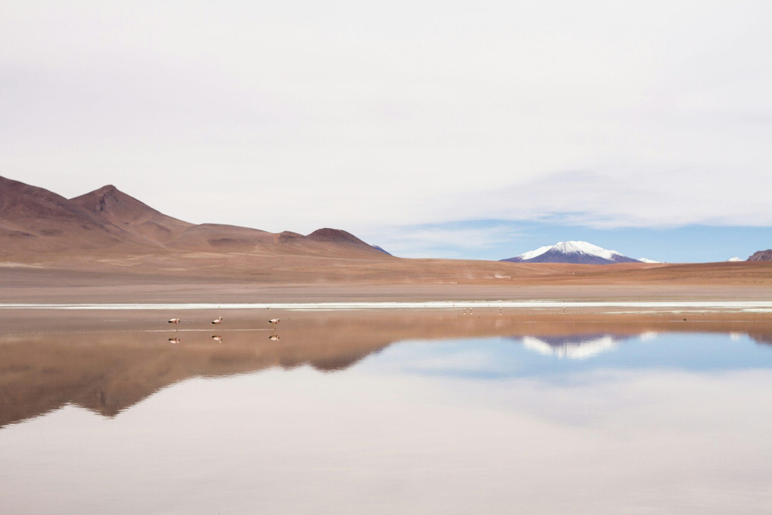 Effet miroir spectaculaire du salar d’Uyuni pendant la saison des pluies, nuages et ciel reflétés sur une fine couche d’eau