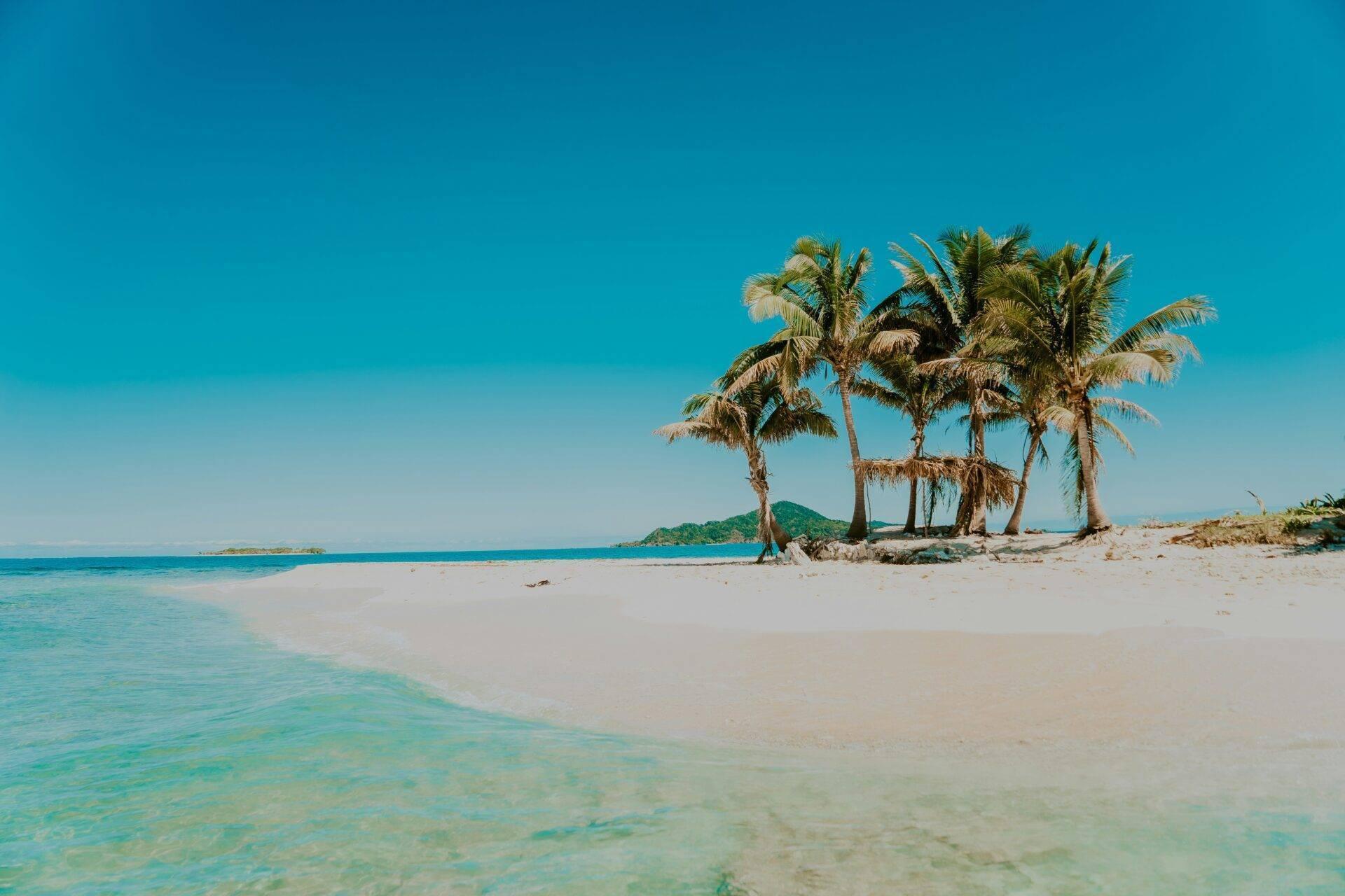 Une plage de sable blanc avec des palmiers et eaux turquoises cristallines sous un ciel bleu dégagé