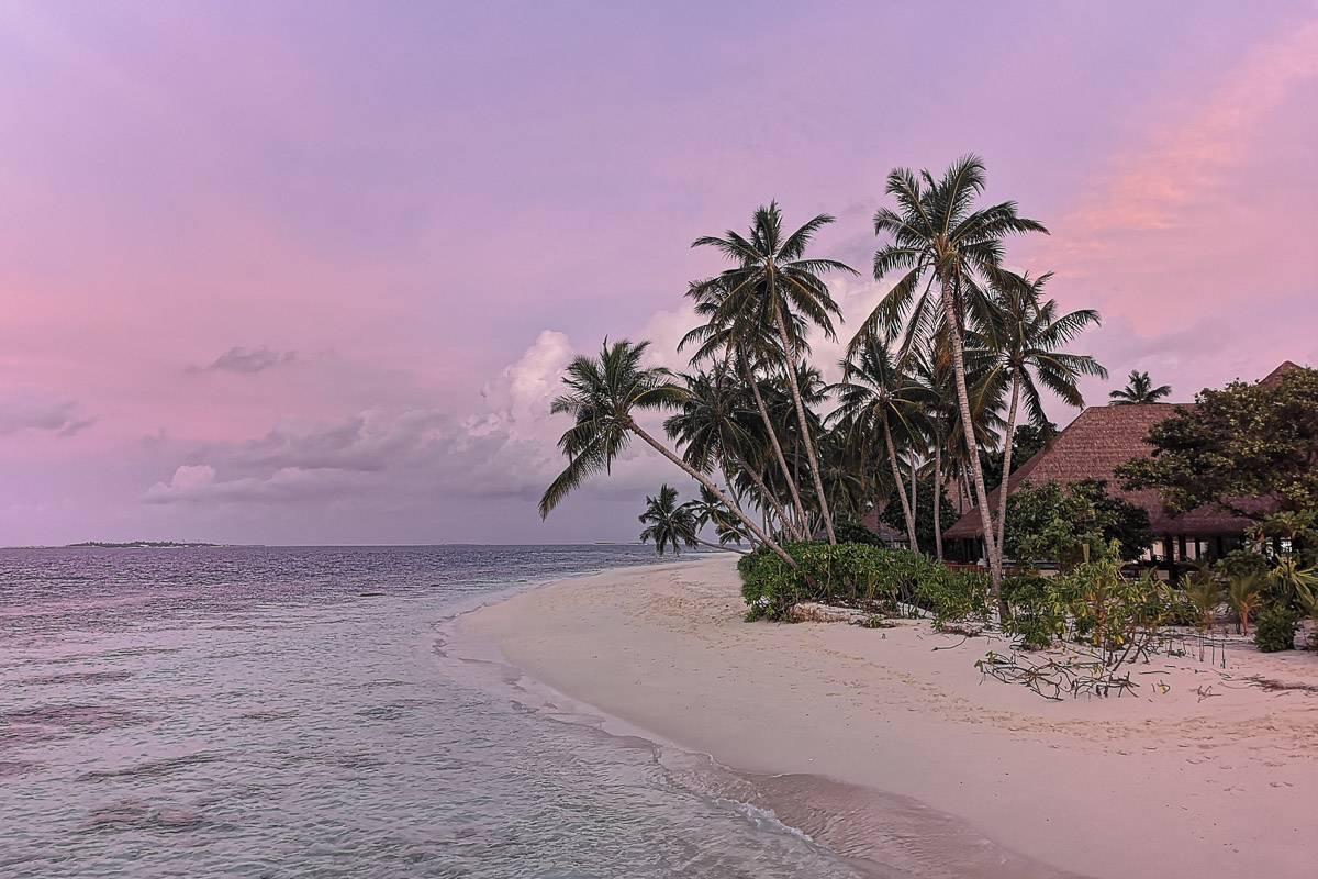 Plage tropicale avec palmiers, lagon turquoise et bungalow au coucher de soleil rose