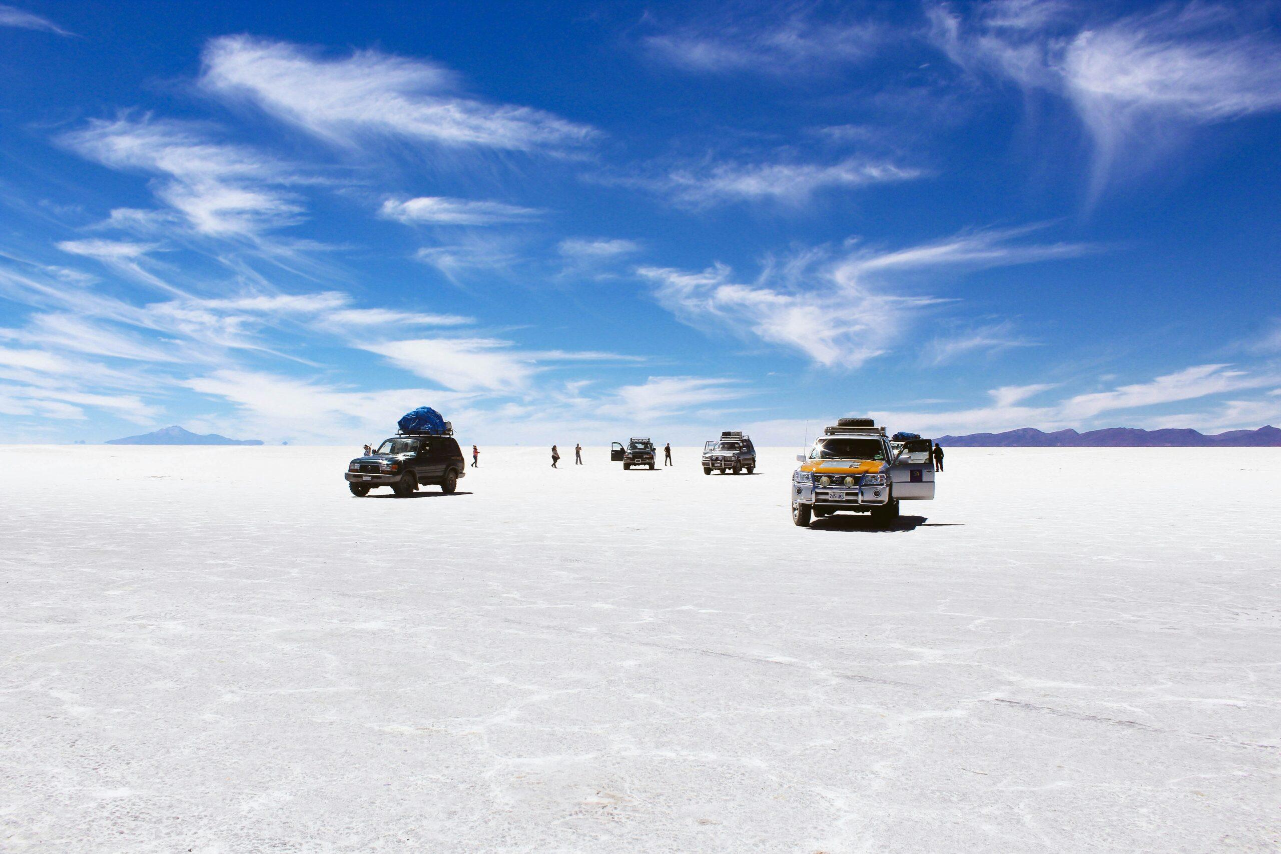 Flamants roses en groupe au bord d’une lagune colorée de l’altiplano bolivien, proche du salar d’Uyuni