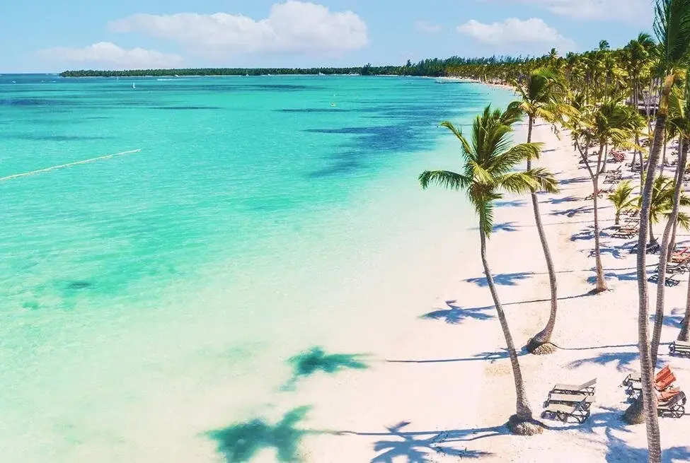 Une plage de sable blanc avec palmiers et eau turquoise cristalline dans les Caraïbes