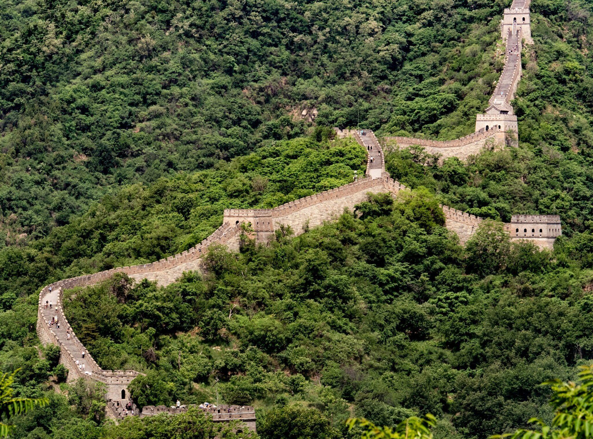 Section de muraille en pierre serpentant à travers une forêt dense avec tours de guet et végétation abondante