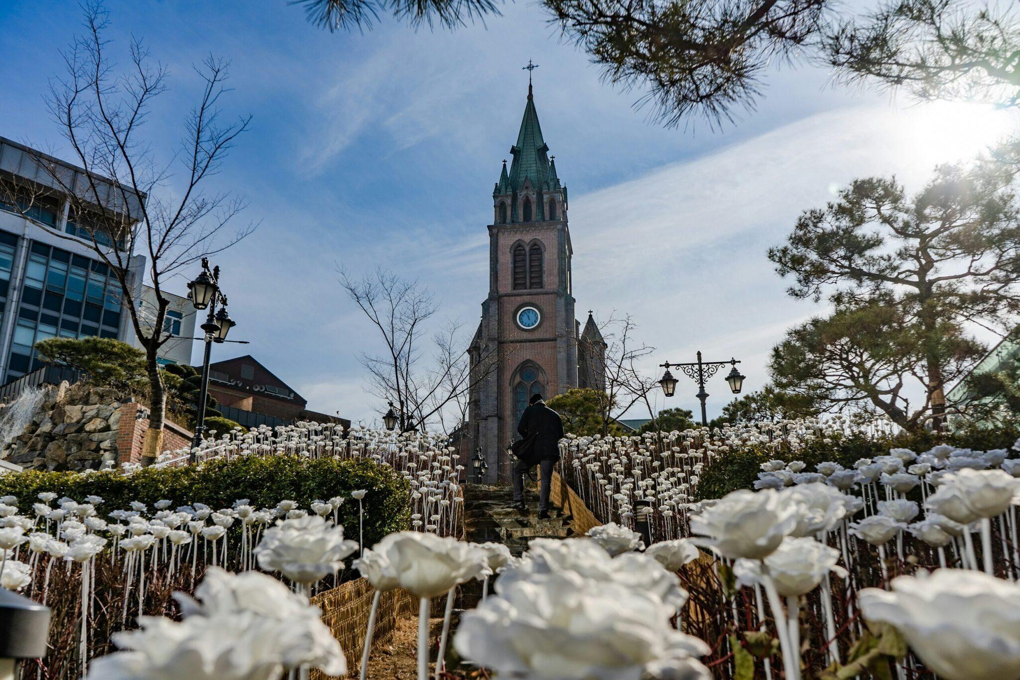 Une église en brique avec clocher entourée de fleurs blanches dans un jardin urbain