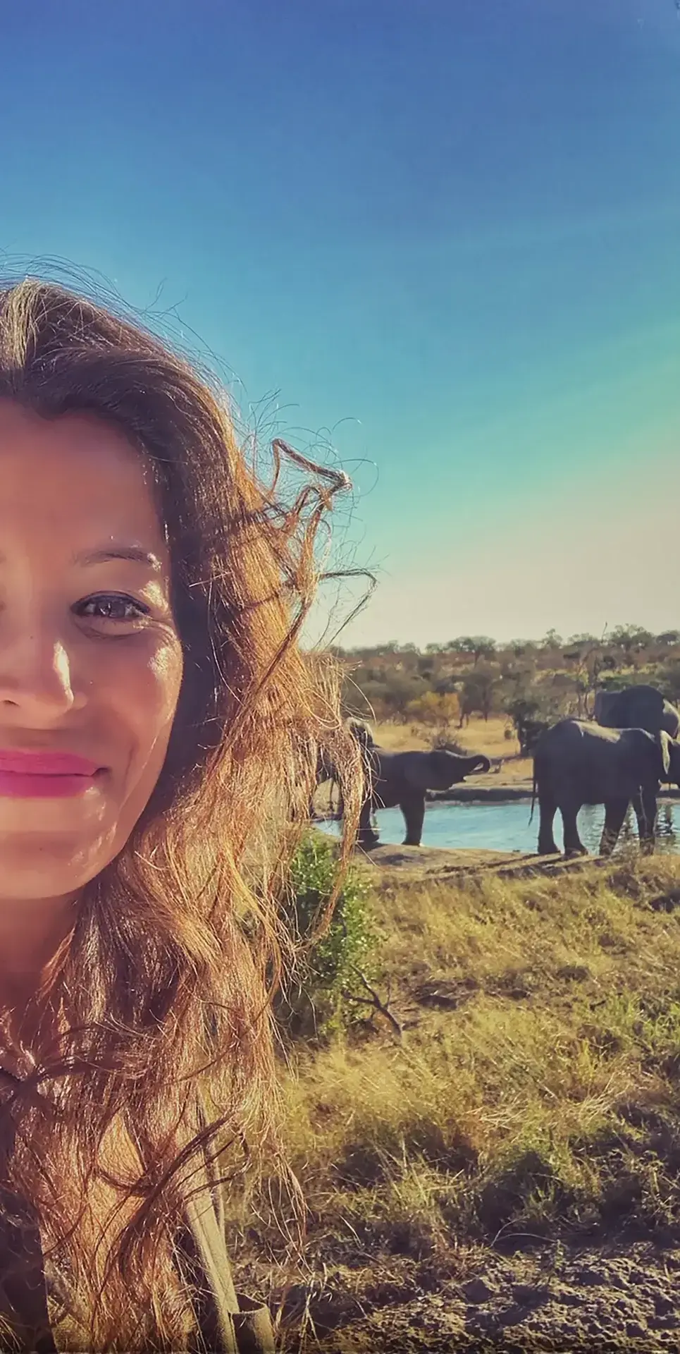 Selfie d’une femme souriante avec un troupeau d’éléphants à un point d’eau en savane africaine