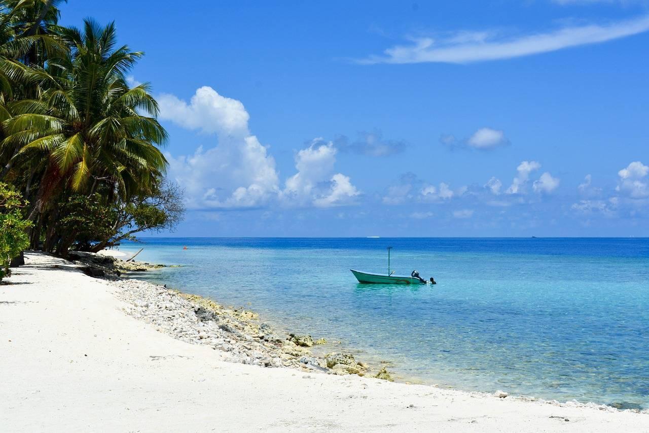 Une plage de sable blanc avec palmiers, bateau de pêche turquoise et eau cristalline sous ciel bleu tropical