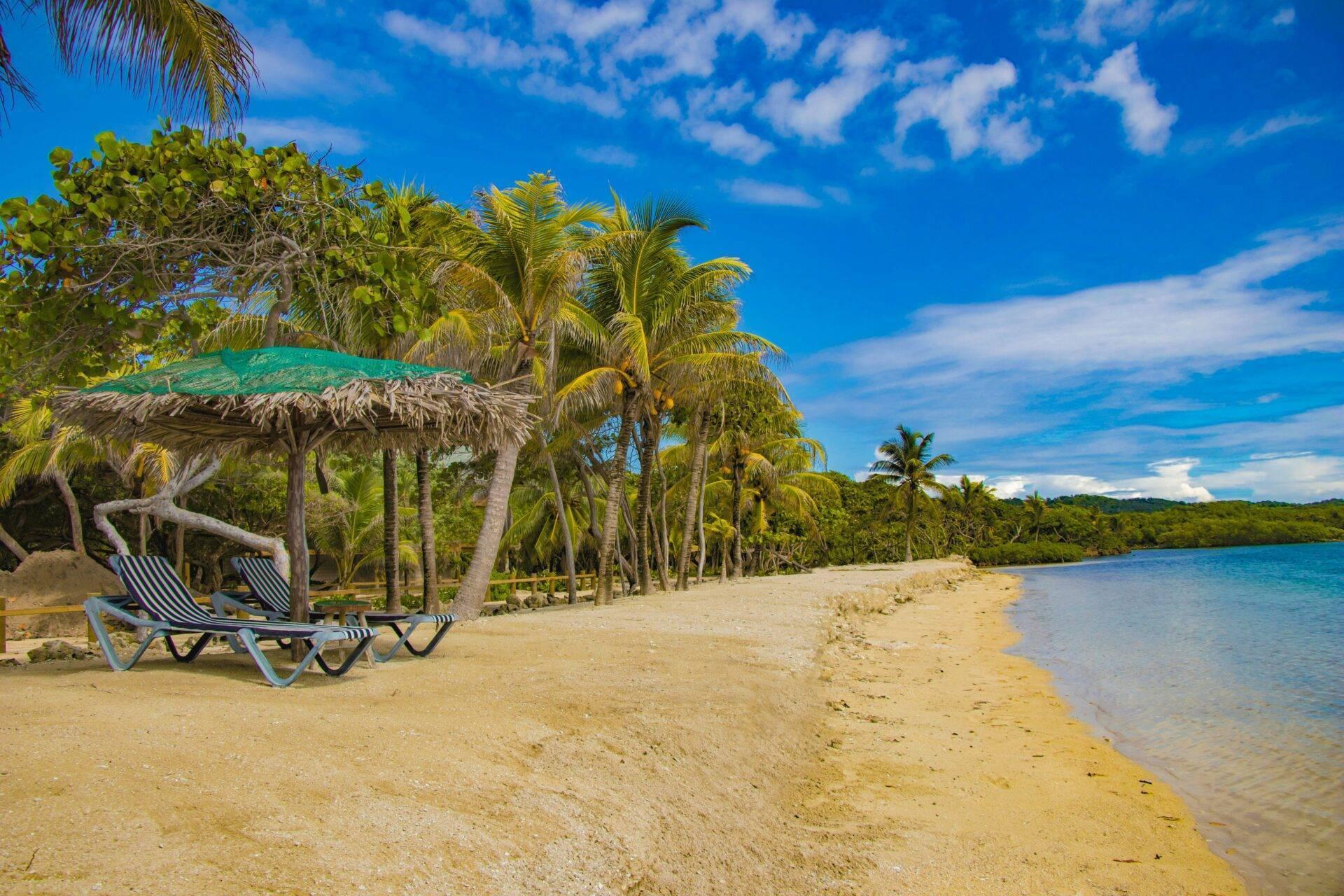 Plage de sable blanc avec chaises longues, palmiers et abri couvert face à une eau turquoise calme