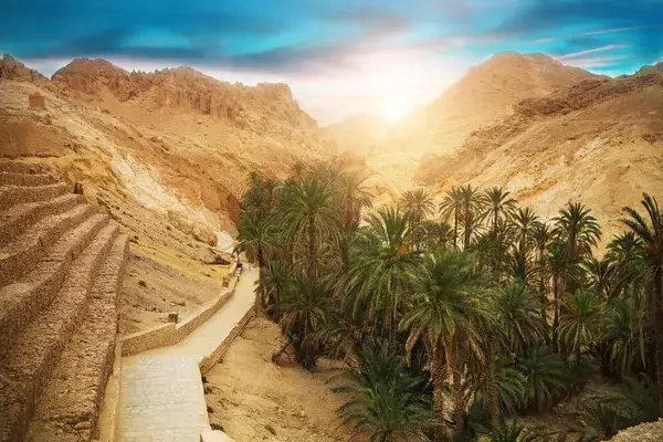 Une oasis désertique avec palmiers, canal d’irrigation et montagnes rocheuses sous un ciel dégagé