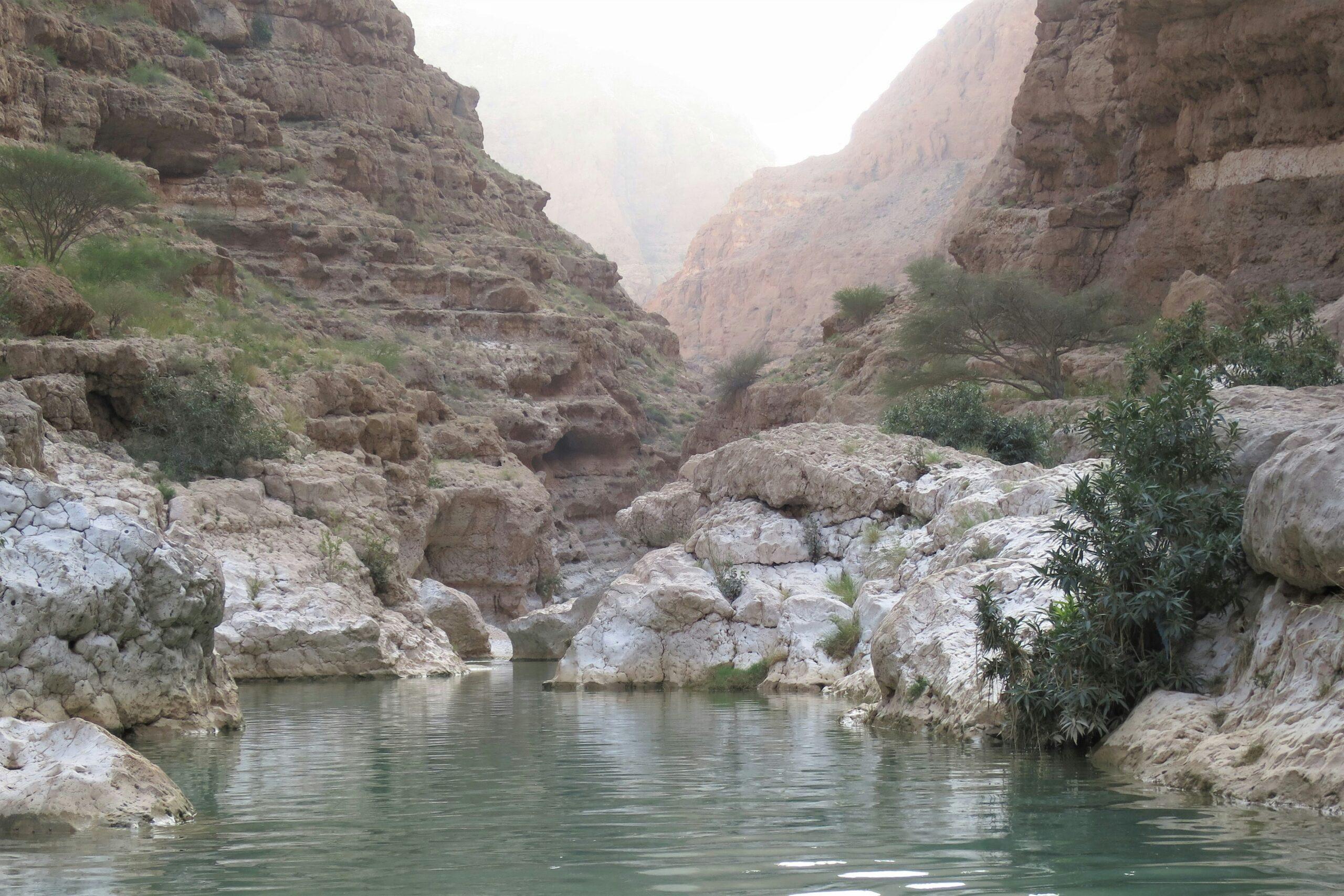 Piscines naturelles aux eaux turquoise de Wadi Shab entourées de falaises calcaires et de palmiers, Oman