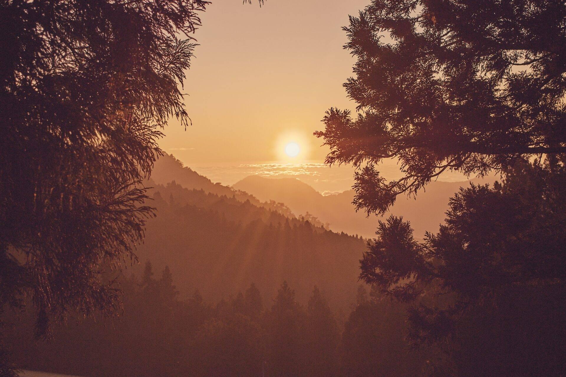 Vue panoramique d’une vallée montagneuse densément boisée au coucher de soleil avec brouillard