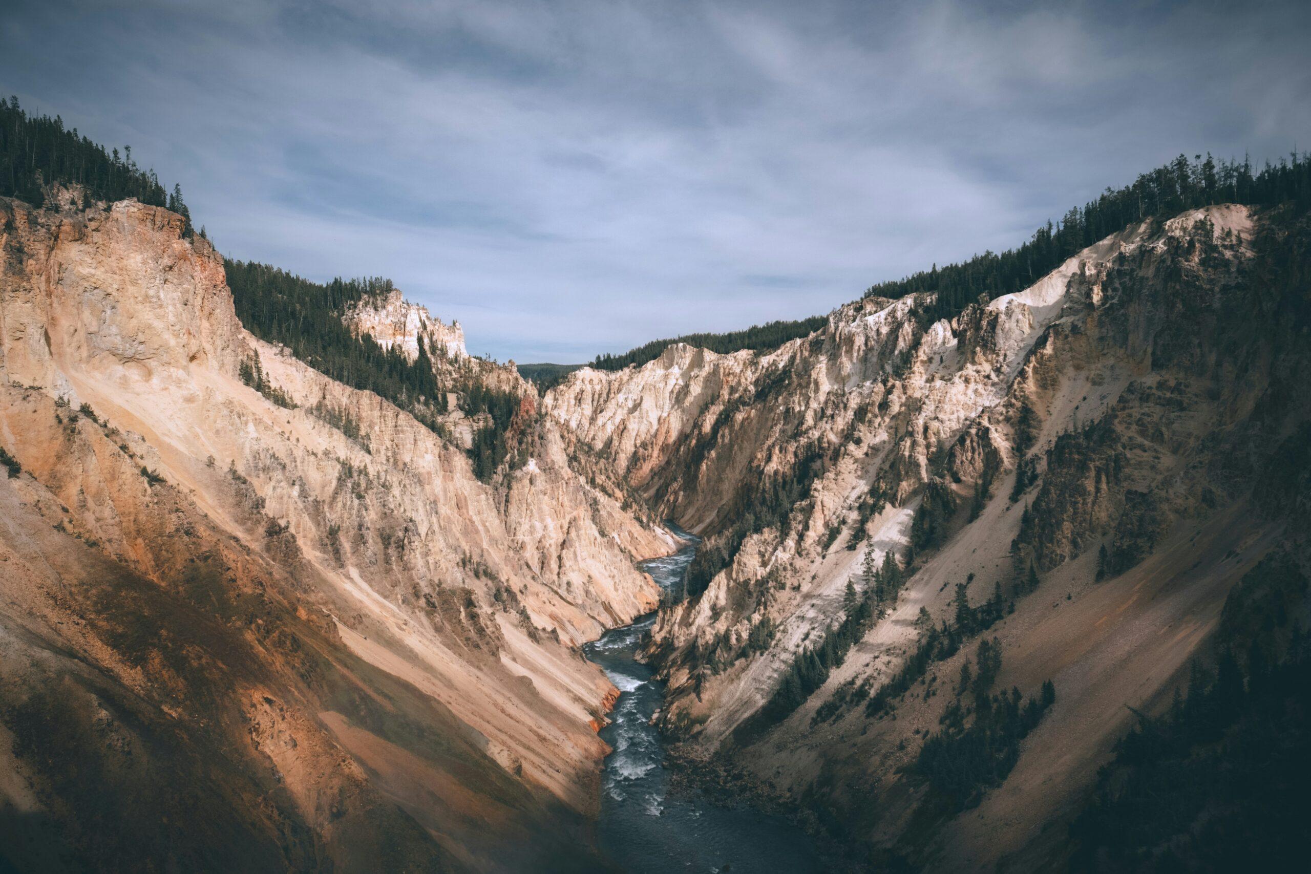 Les falaises jaunes et ocres du Grand Canyon de Yellowstone avec les Lower Falls en contrebas