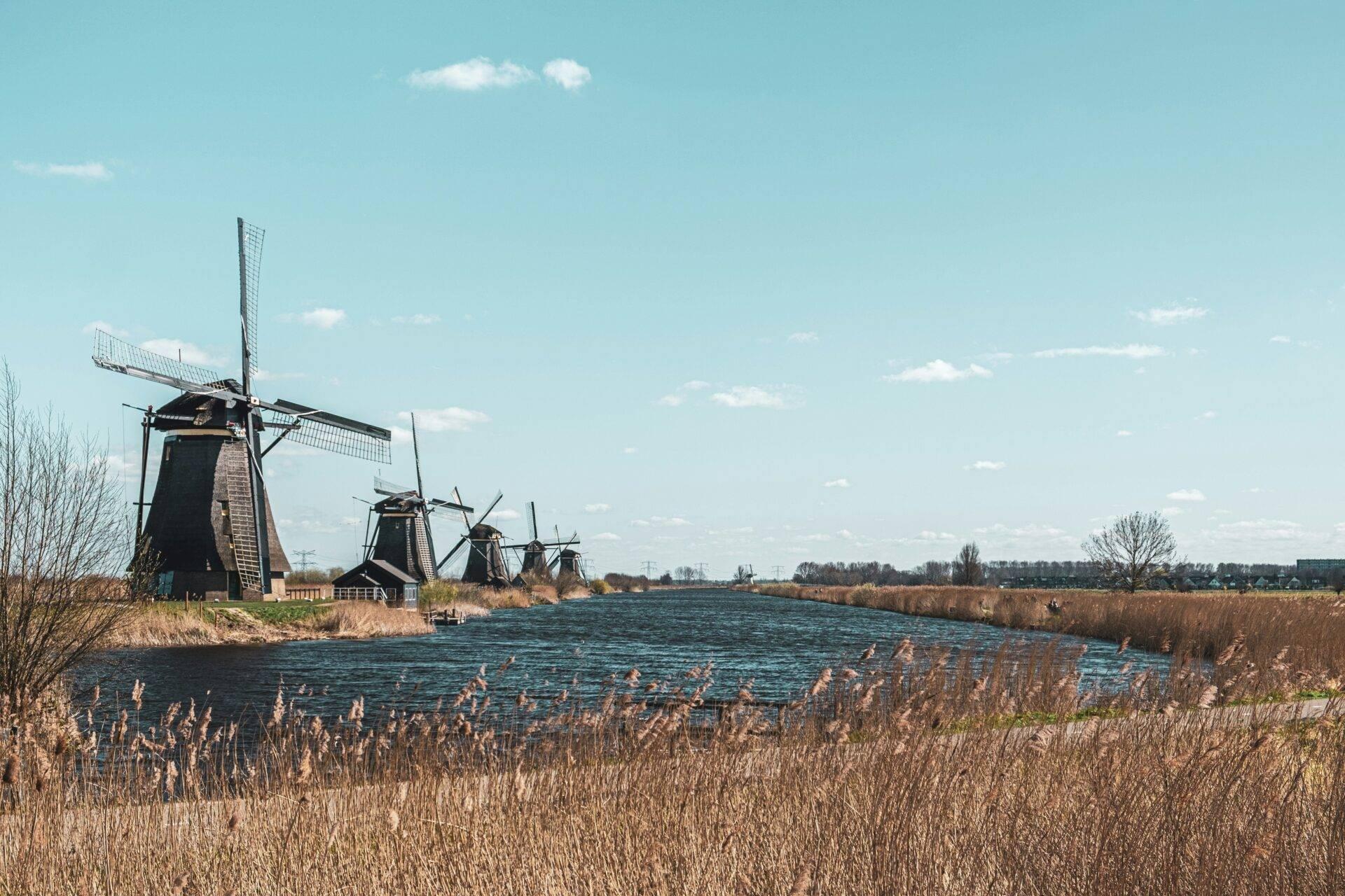Plusieurs moulins à vent traditionnels le long d’un canal aux Pays-Bas sous un ciel dégagé
