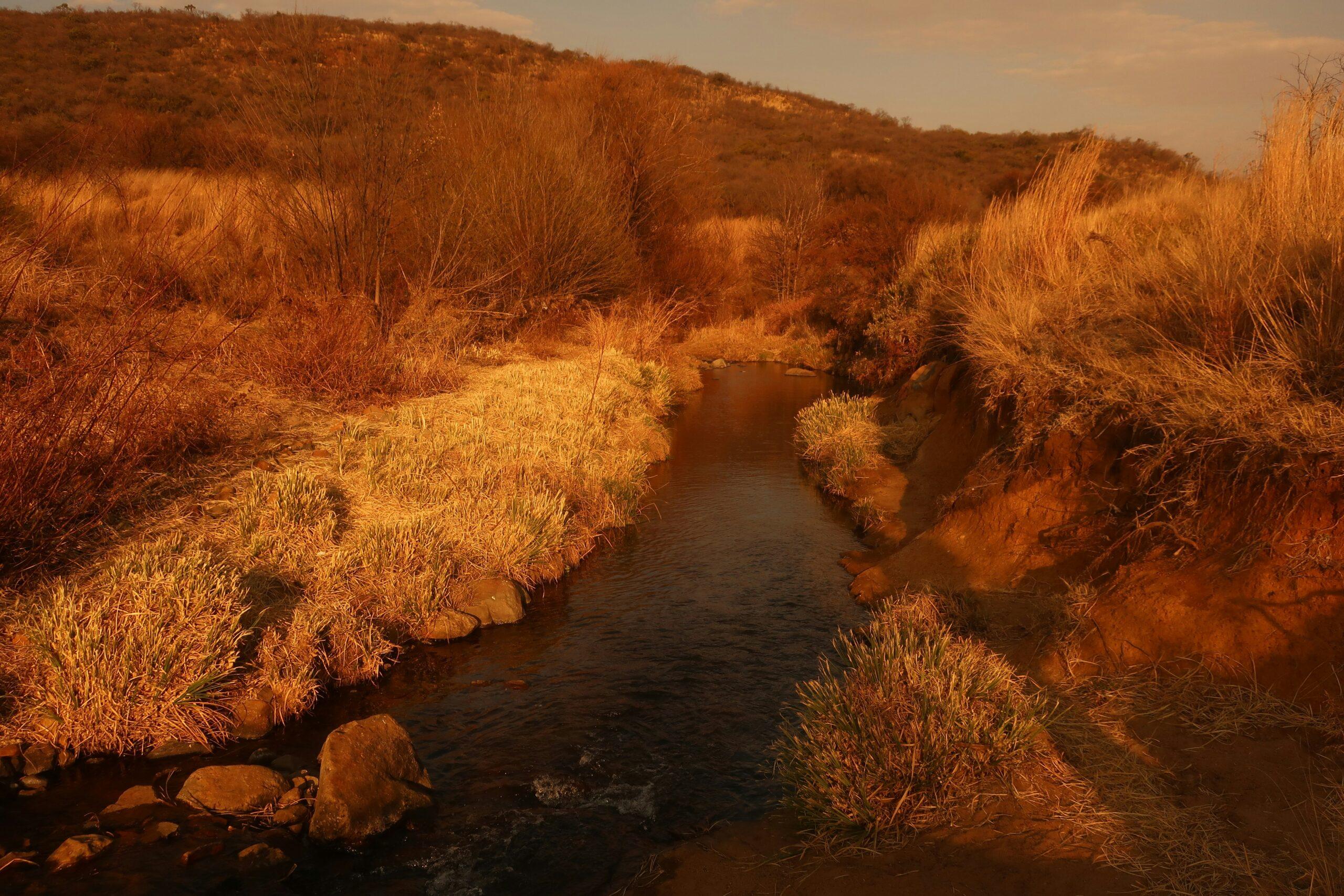 Un cours d’eau serpente entre des collines arides et une végétation clairsemée dorée par la lumière du coucher de soleil