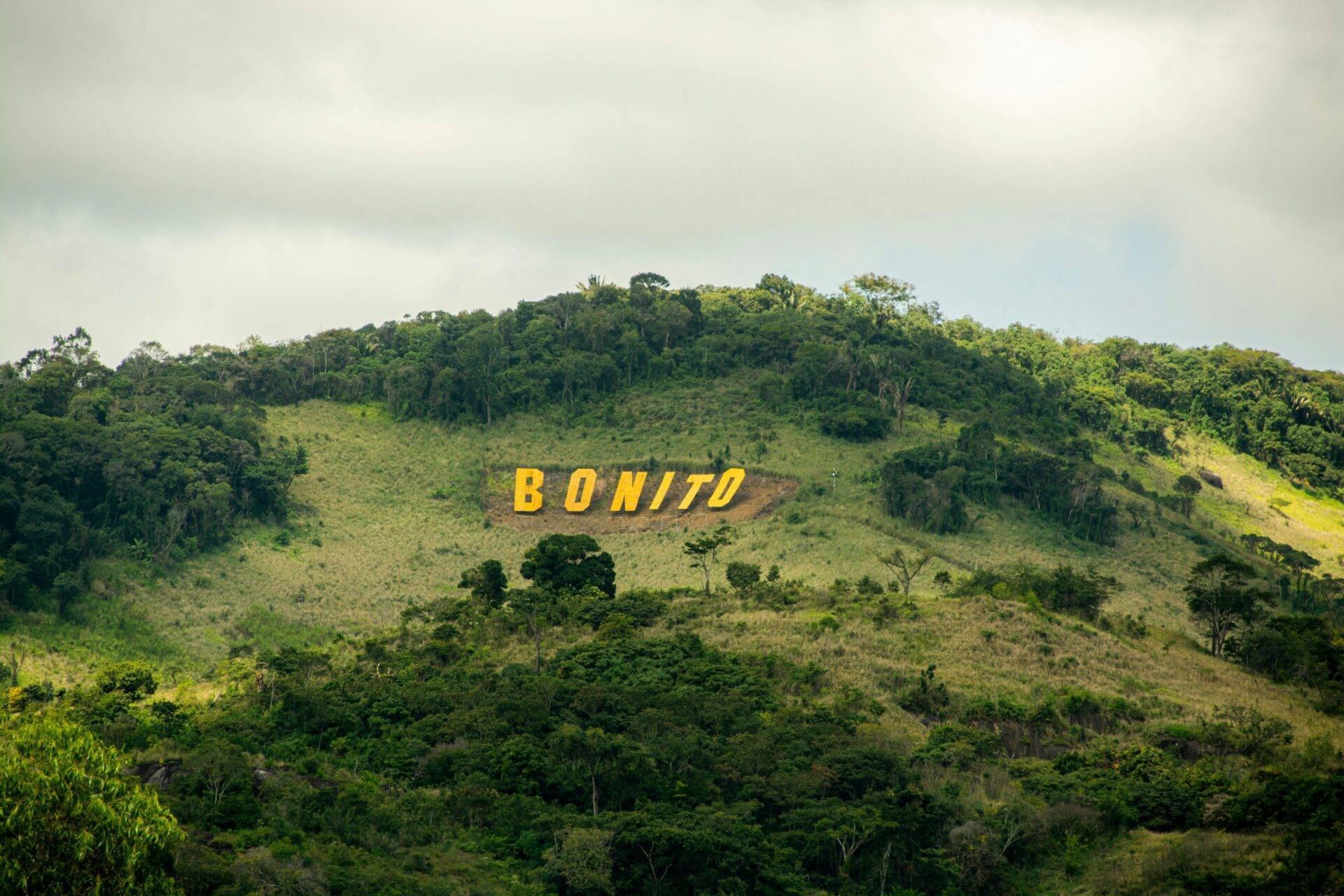 Panneau jaune “BONITO” peint sur une colline verdoyante couverte de forêt tropicale dense