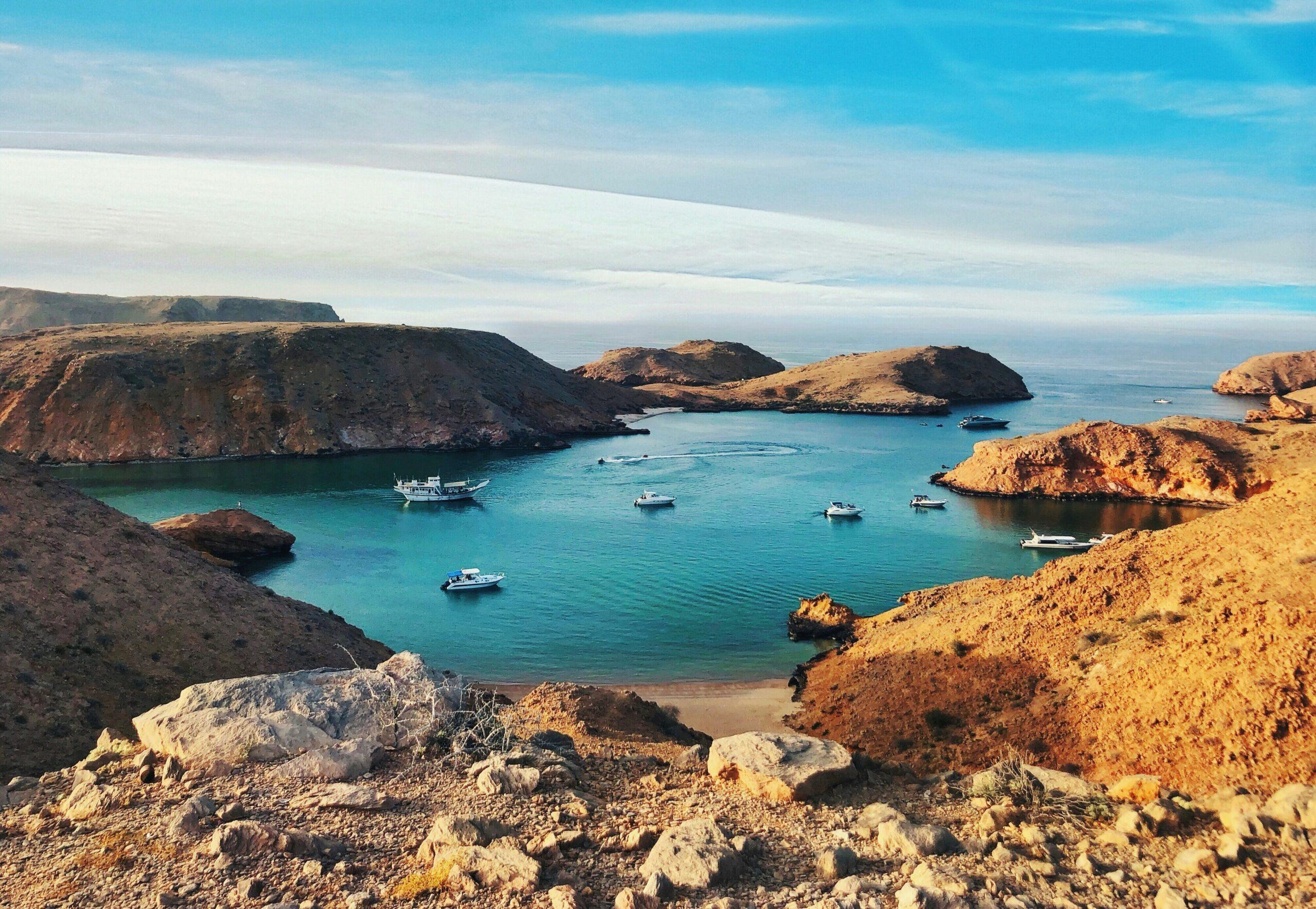 Tortue marine évoluant dans les eaux cristallines de l’archipel des îles Daymaniyat, réserve naturelle d’Oman