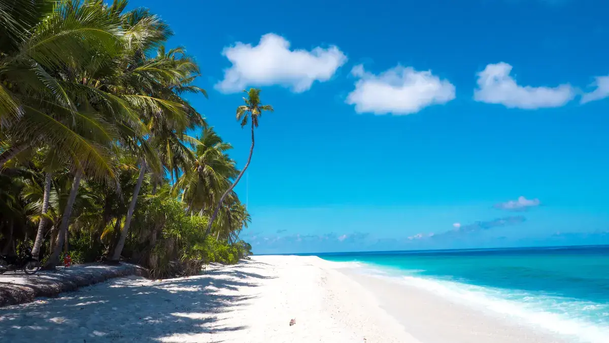 Une plage tropicale de sable blanc bordée de palmiers avec une mer turquoise et un ciel bleu dégagé