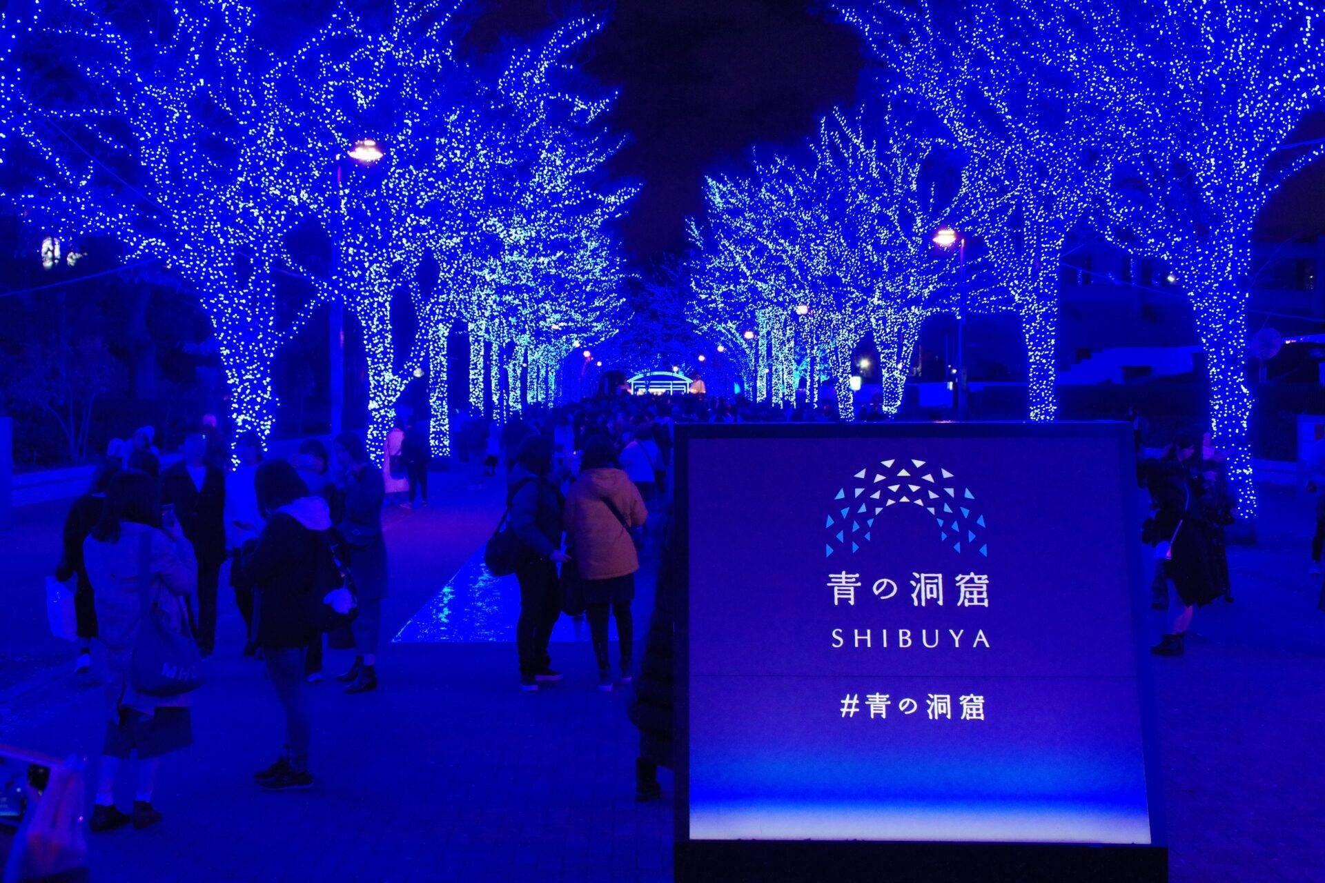Une allée illuminée de milliers de petites lumières bleues avec des visiteurs marchant sous des arbres décorés, à Shibuya