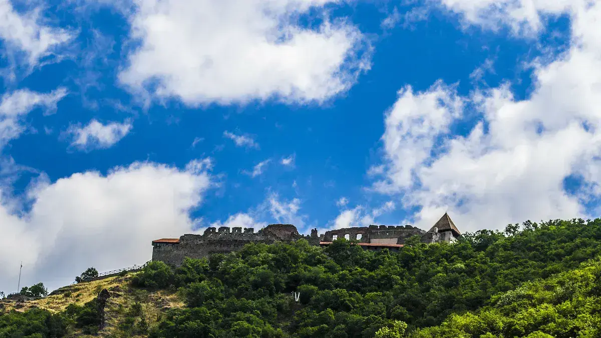 Un château médiéval fortifié surplombant une forêt dense sous un ciel bleu nuageux