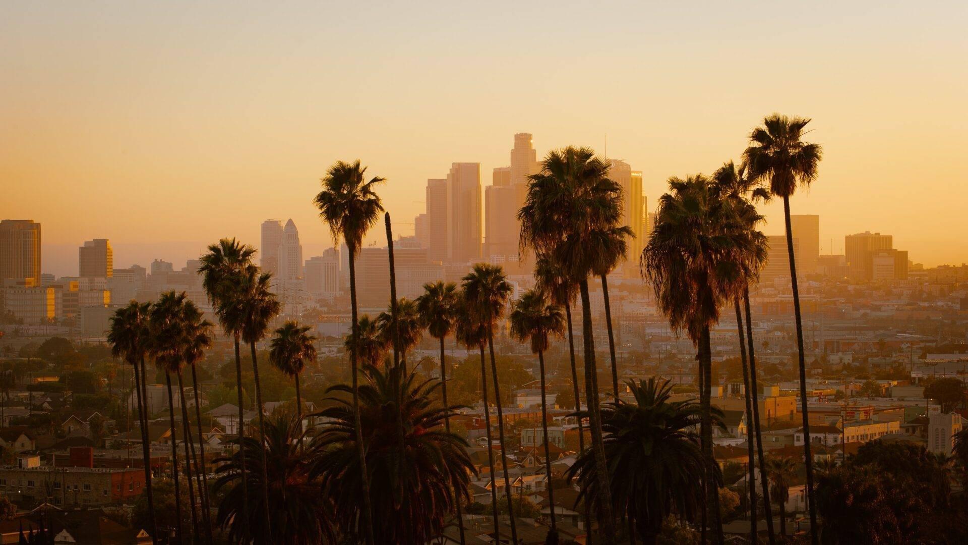 Skyline d’une grande ville américaine au coucher de soleil, encadrée par des palmiers en premier plan