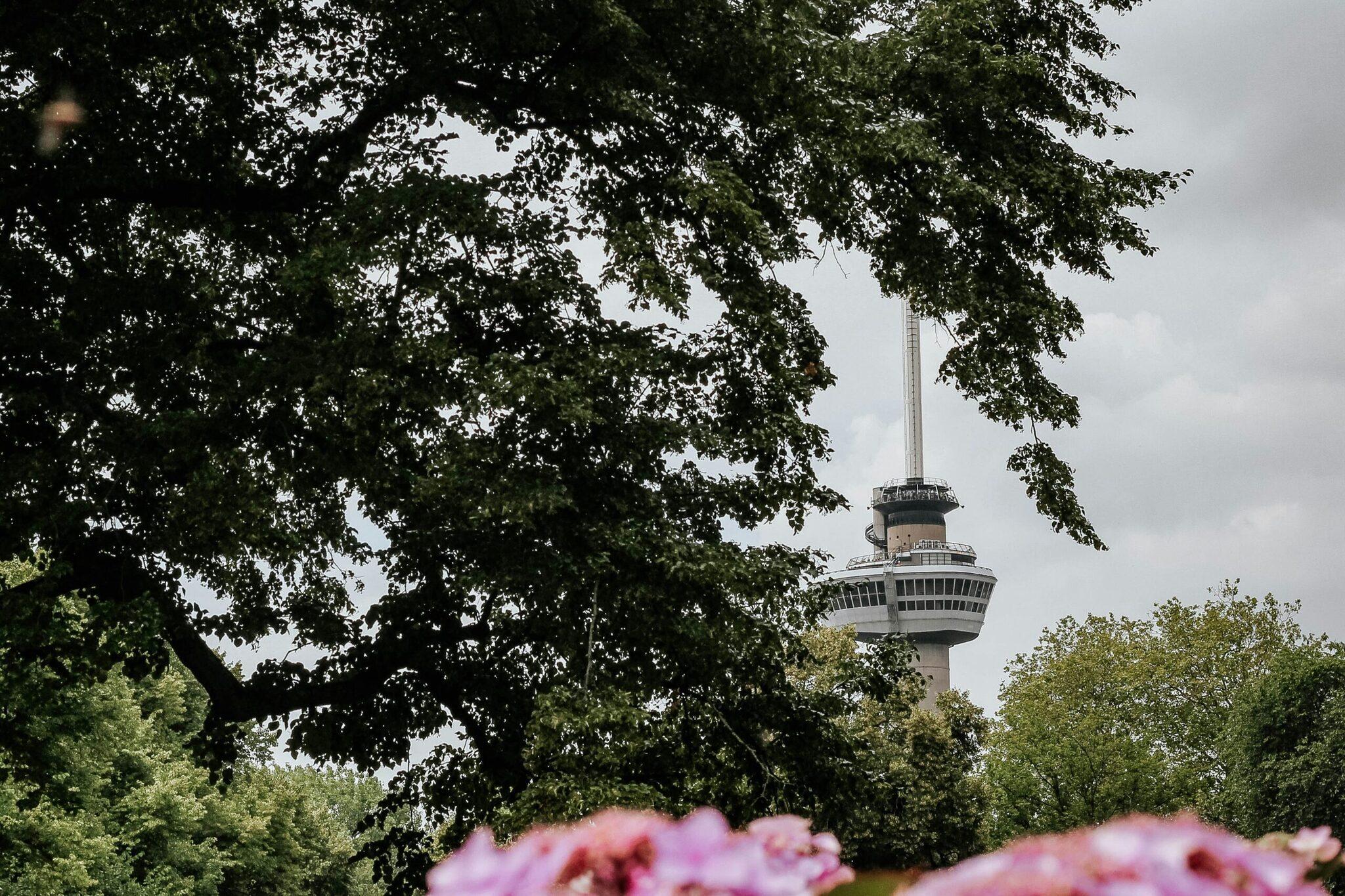Tour de contrôle aérien moderne encadrée par un feuillage dense et fleurs roses en premier plan