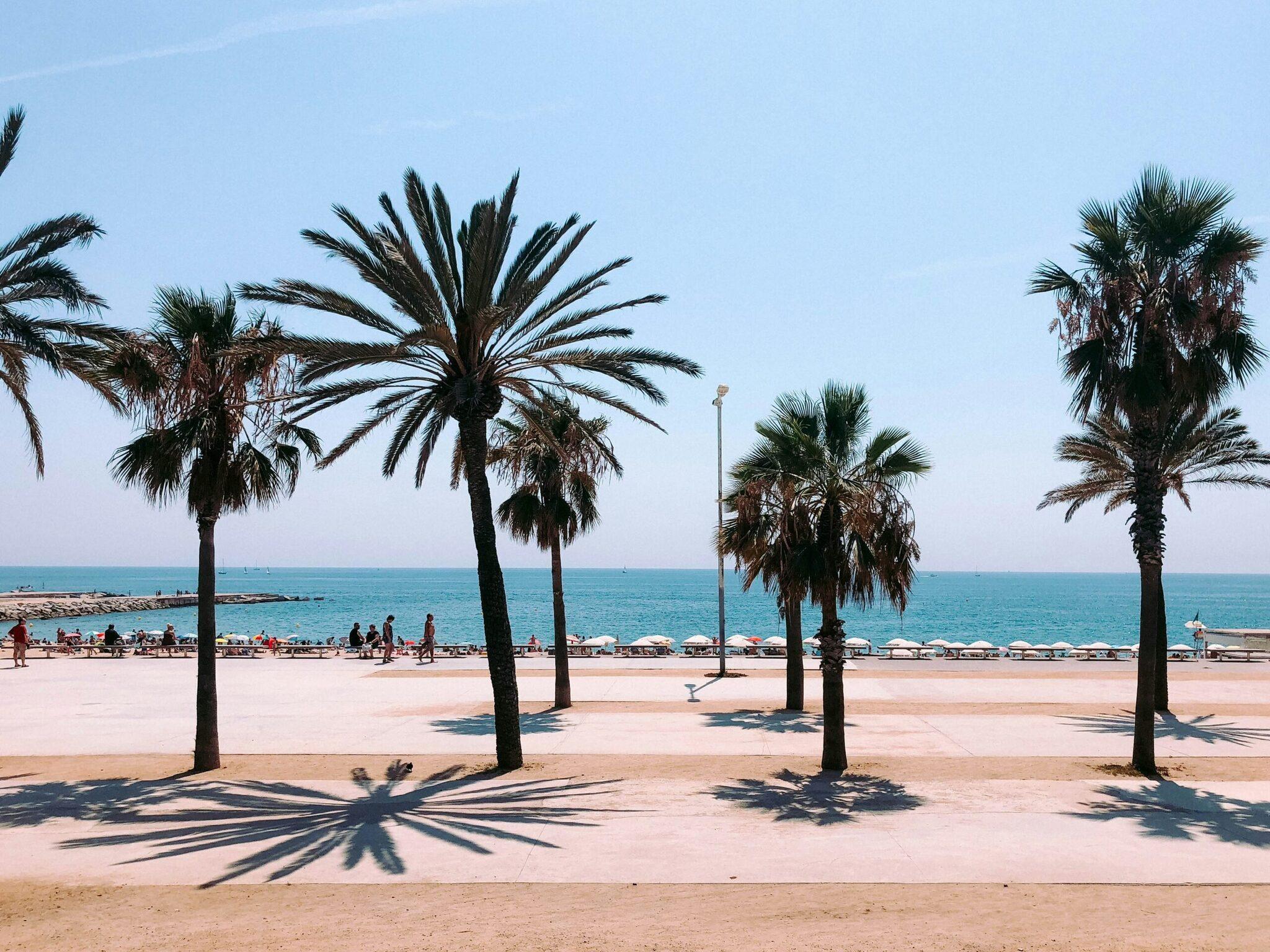 Plage méditerranéenne avec palmiers, promenade littorale et baigneurs sous ciel bleu dégagé