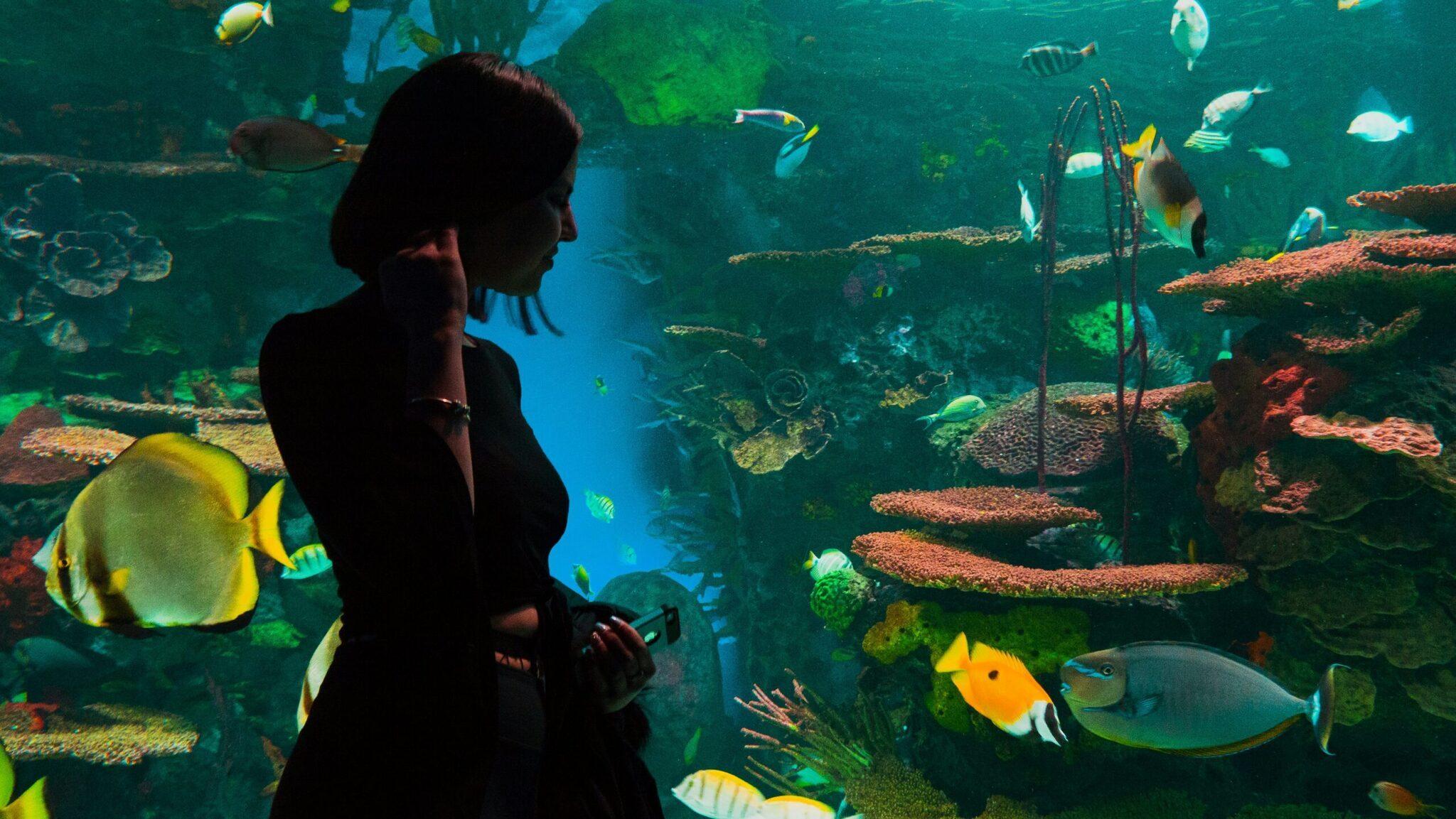Une femme observe un aquarium avec des poissons colorés et des coraux dans un bassin souterrain illuminé