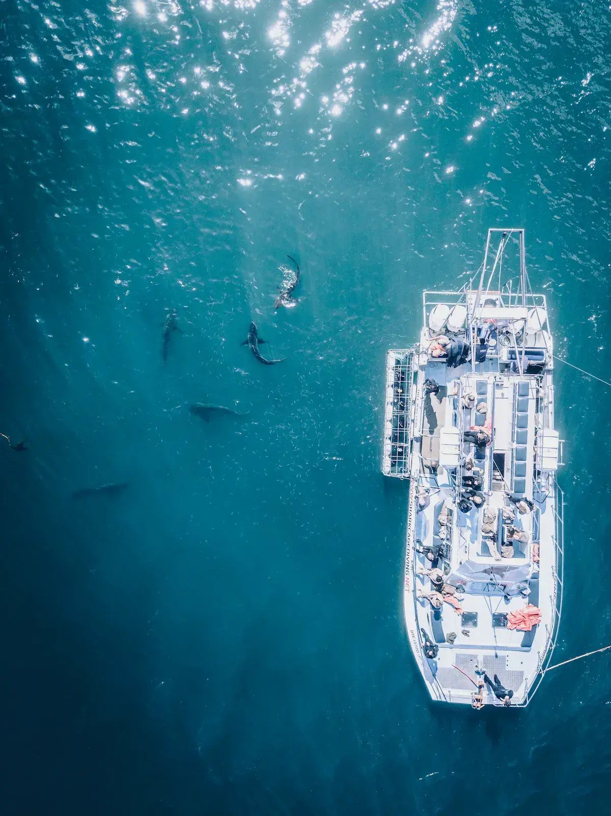 Vue aérienne d’un bateau de plongée blanc avec des plongeurs en mer turquoise cristalline
