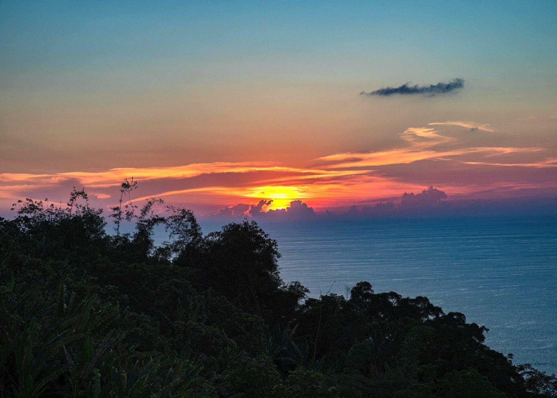 Coucher de soleil spectaculaire sur la mer avec végétation tropicale au premier plan et ciel coloré en arrière-plan