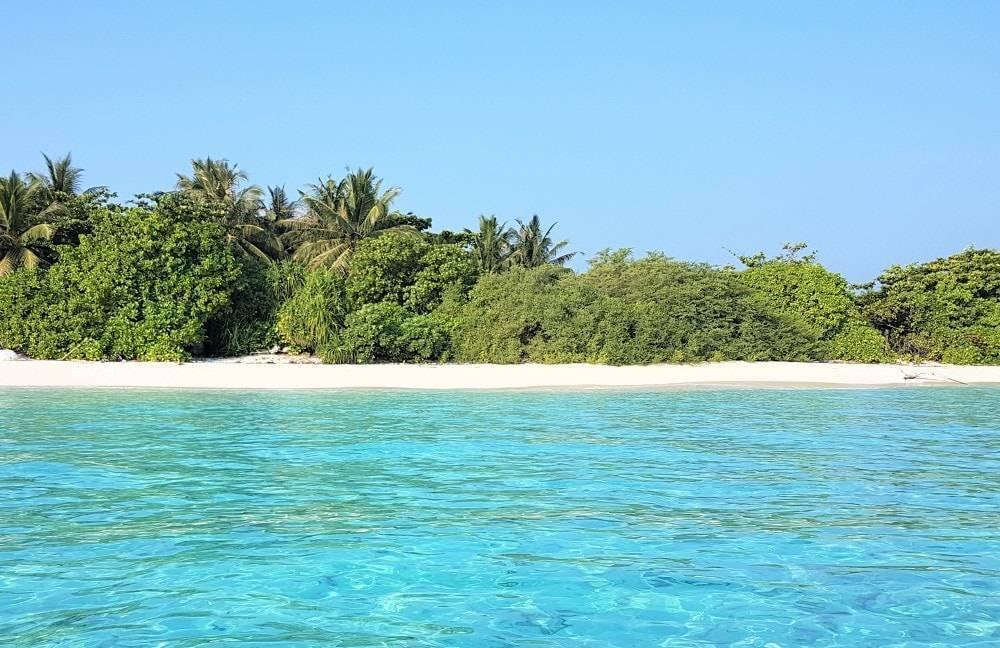 Plage de sable blanc bordée de végétation tropicale et d’eau turquoise cristalline sous ciel bleu dégagé