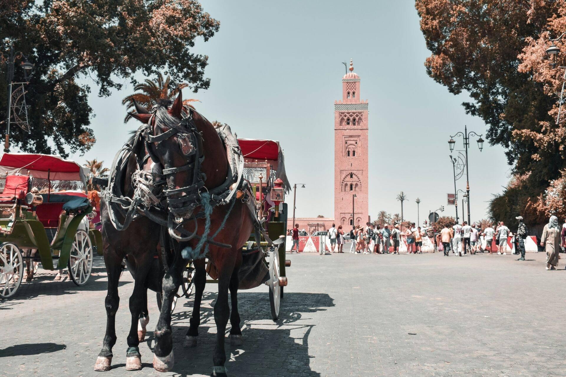 Une calèche tirée par un cheval traverse une place animée avec une mosquée aux murs rose en arrière-plan