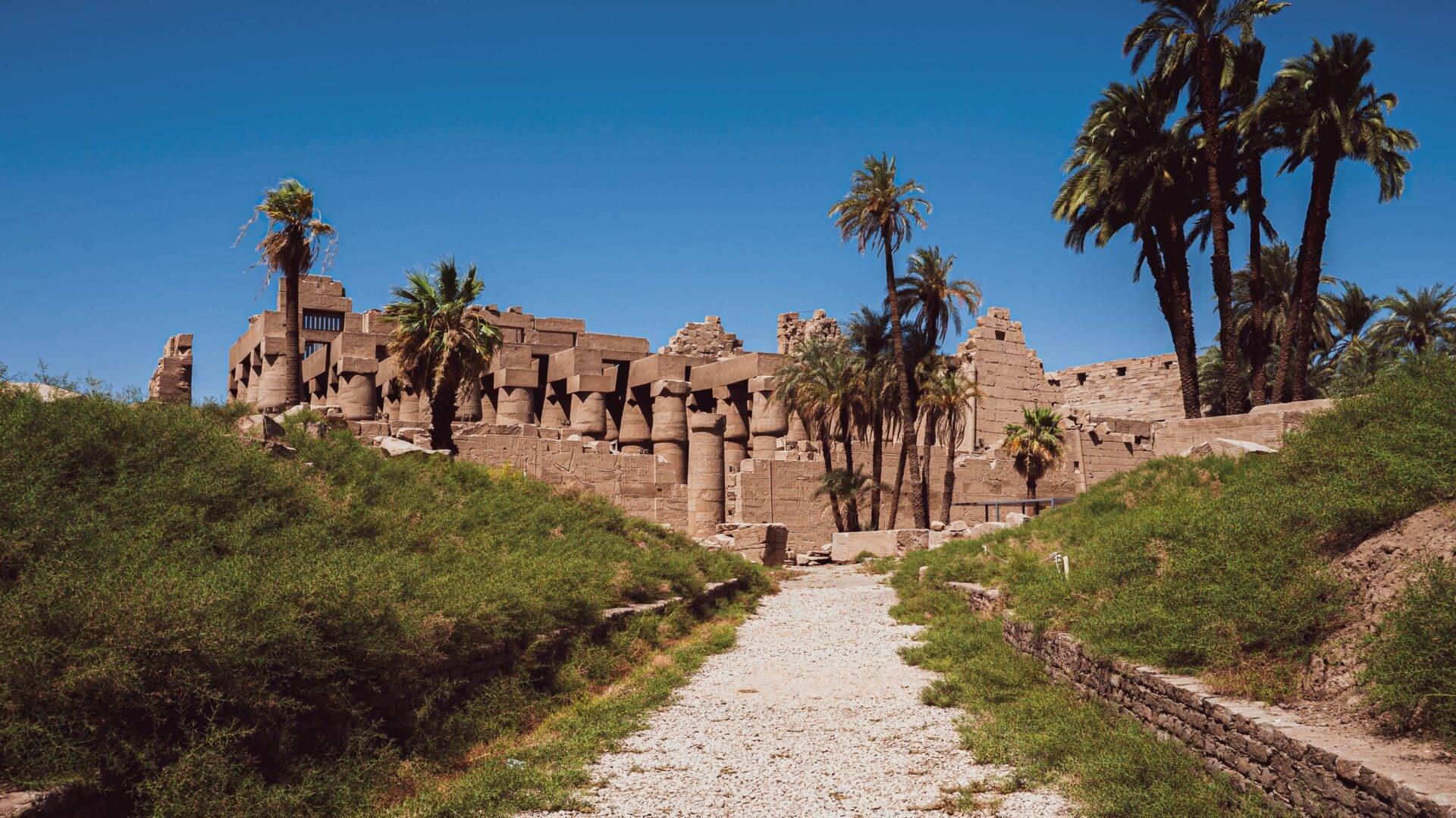 Ruines d’un temple égyptien antique en grès avec colonnes massives et palmiers sous un ciel dégagé