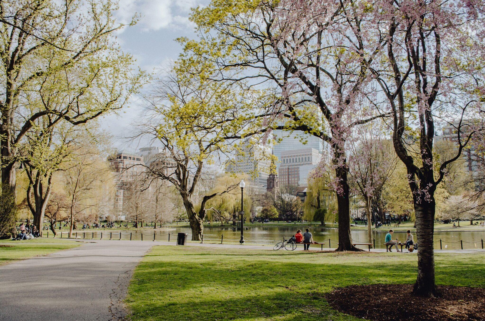 Un parc urbain au printemps avec des arbres en fleurs, un lac et des gratte-ciel en arrière-plan