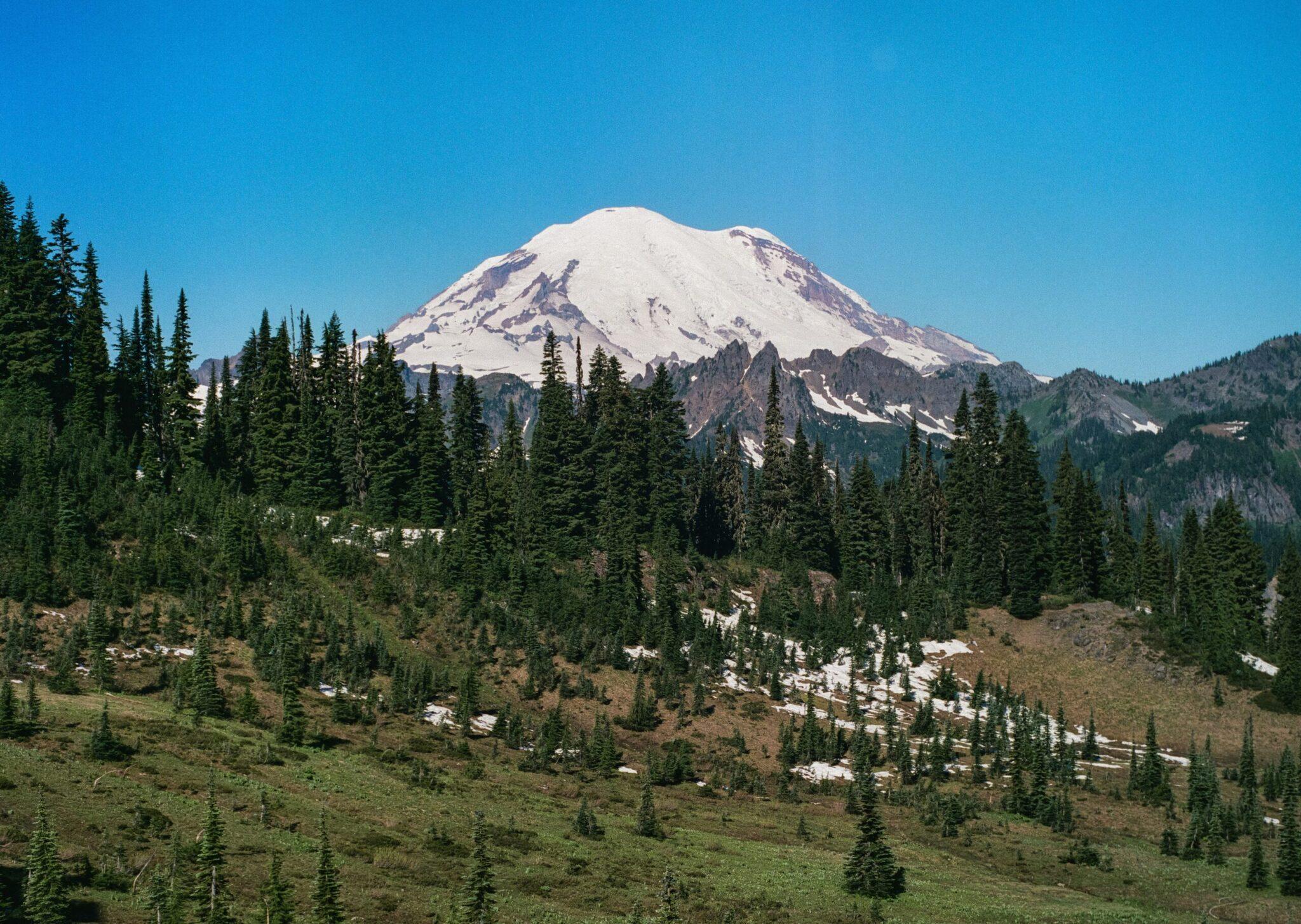 Un volcan enneigé dominant une forêt de conifères avec des prairies alpines et des traces de neige au premier plan
